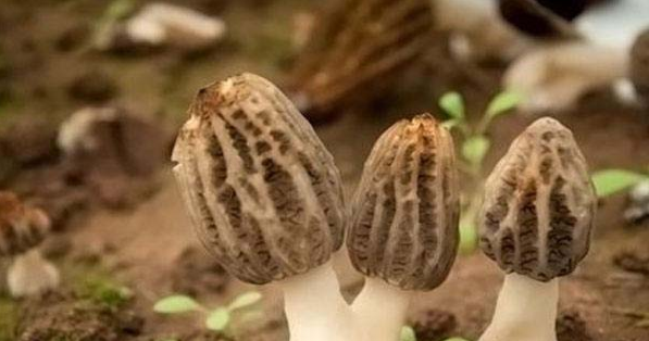 &#24320;&#20803;&#32593;&#31449;&#30331;&#24405;&#20837;&#21475;&#95;&#24320;&#20803;&#65288;&#20013;&#22269;&#65289;